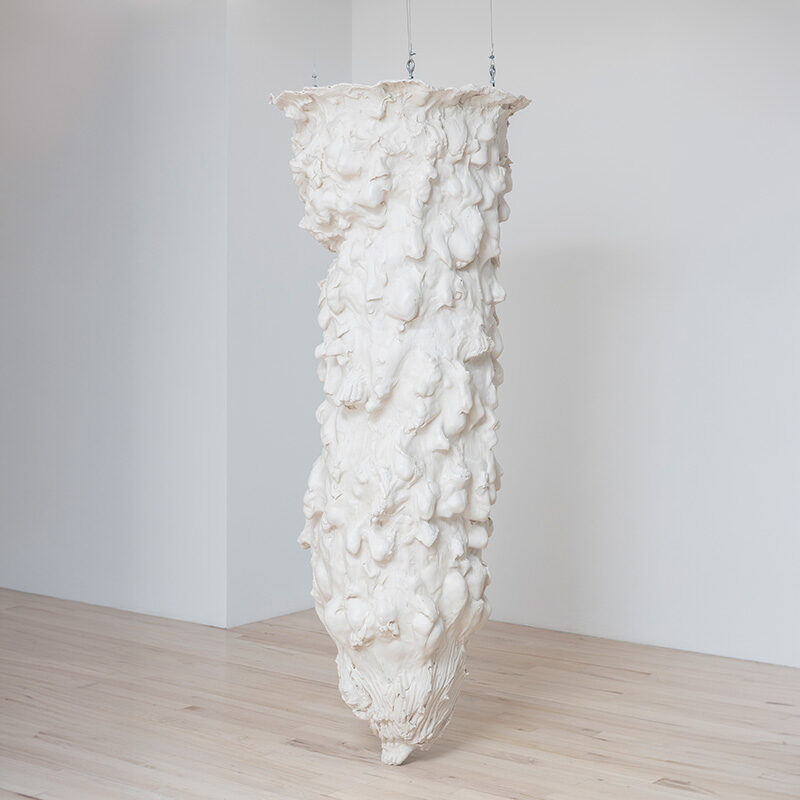 Juliana Cerqueira Leite