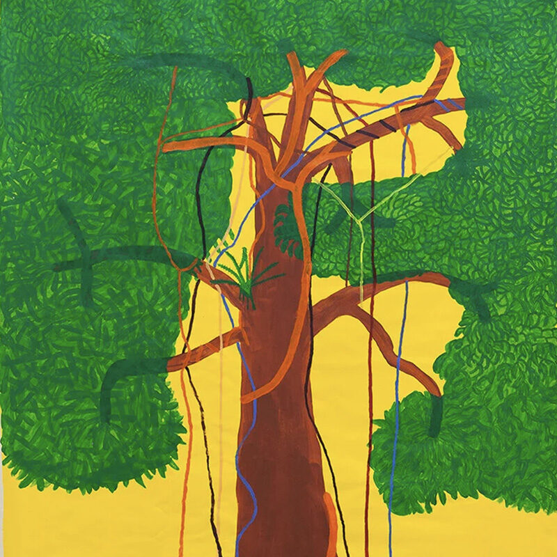 Sheroanawe Hakihiiwe