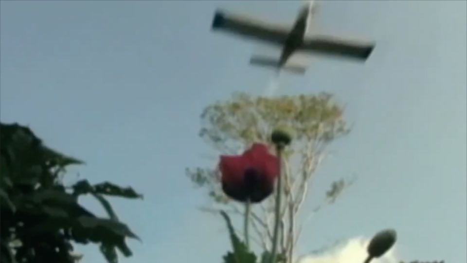 An abstract mixed-media painting featuring large, textured fields of deep green, white, and dark blue paint with small, grainy photographic transfers embedded across the surface.